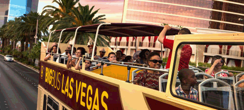 Hop On Hop Off Las Vegas Tours